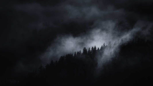 Daily Encouragement & Specials- A FREE book & FREE food to prepare you!