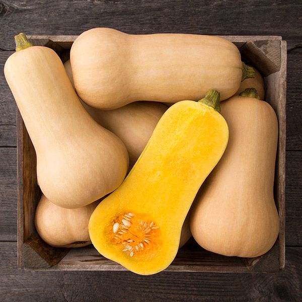 WALTHAM BUTTERNUT SQUASH SURVIVAL SEED VAULT with RECIPES
