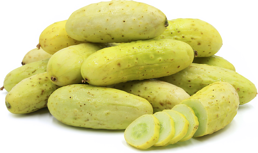 Seeds-Salt and Pepper Organic Cucumber
