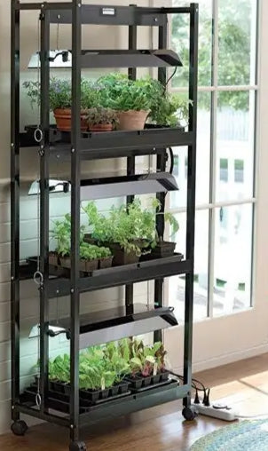 The Indoor Homesteader - Chapter 1 Make a Plan For Your Indoor Garden