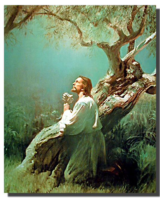 Daily Encouragement & Specials- Even Jesus felt overwhelmed!