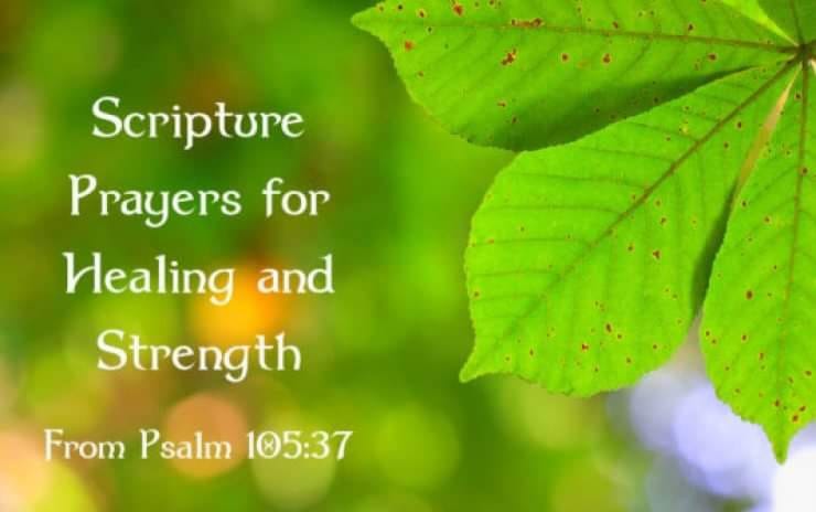 Daily Encouragement & Specials- Prayer For Blessing Upon Medication