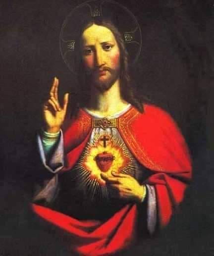 Daily Encouragement & Specials- I begged Jesus to let me live