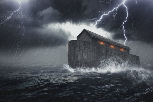 Ark of Mercy