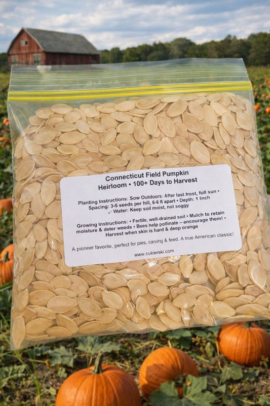 Seeds of Hope Pumpkin Seeds - Pediatric Mission