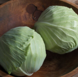 Seeds- Mom's Green Storage Cabbage