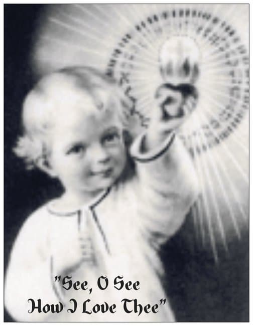 Prayer Card-Novena to The Child Jesus (Package of 10)